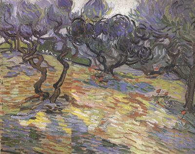 Vincent Van Gogh Olive Trees:Bright Blue Sky (nn04) France oil painting art